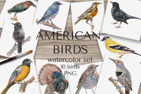 Download "American Birds" Watercolor Set - America Collection